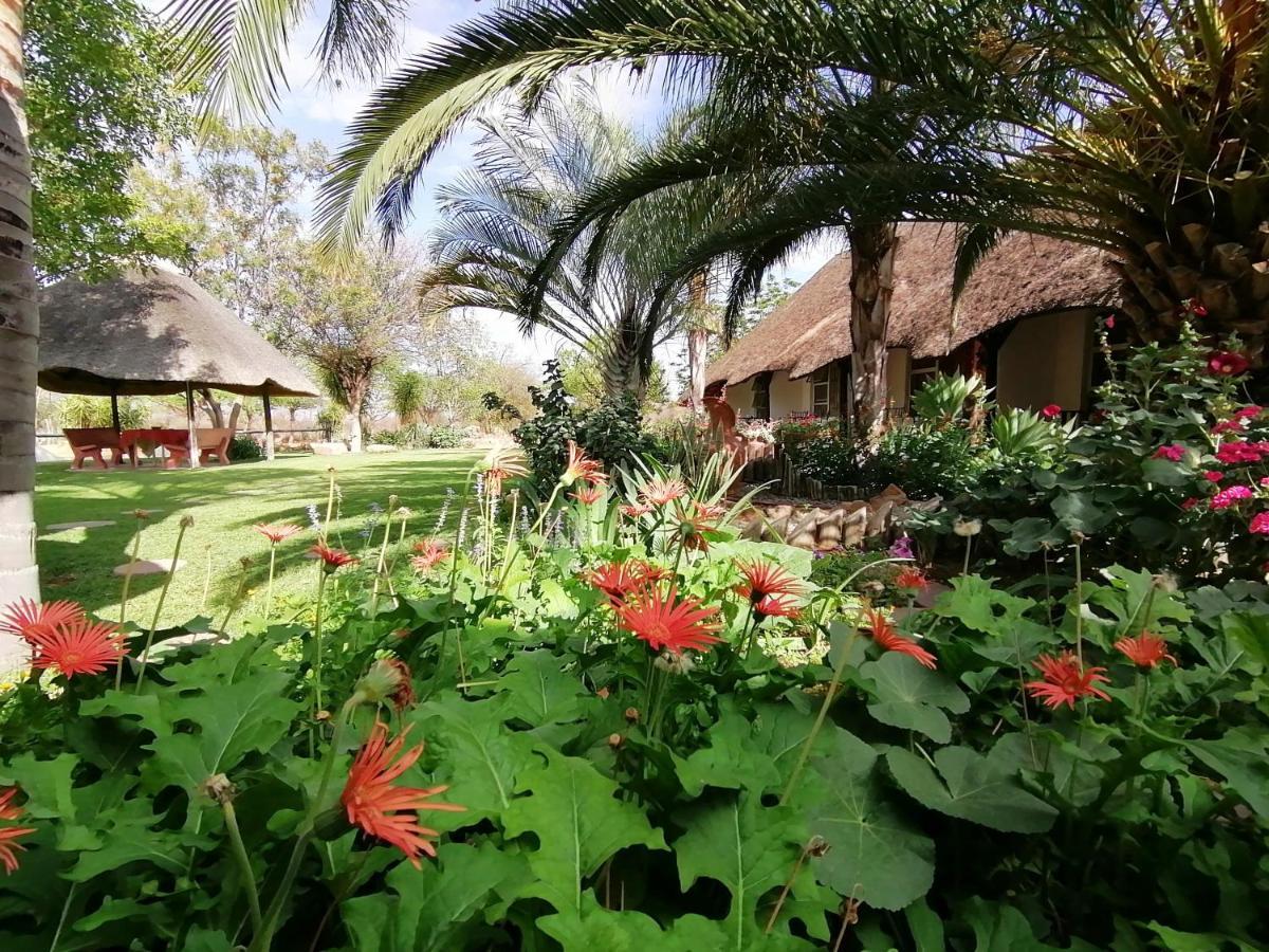 Lion'S Den Guesthouse Otjiwarongo Exterior foto