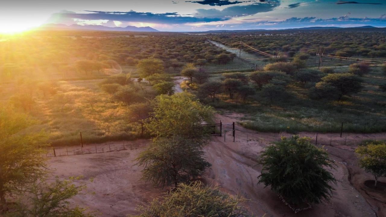 Lion'S Den Guesthouse Otjiwarongo Exterior foto