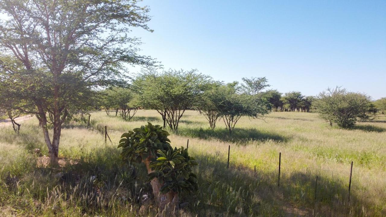 Lion'S Den Guesthouse Otjiwarongo Exterior foto