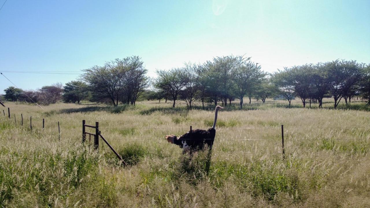 Lion'S Den Guesthouse Otjiwarongo Exterior foto